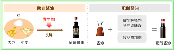 酱油的种类 | 酱油研究所 | 萬字®酱油 KIKKOMAN